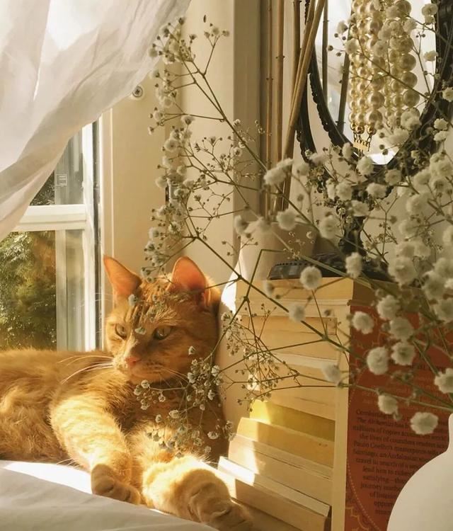 发朋友圈比较好的文案收集14句