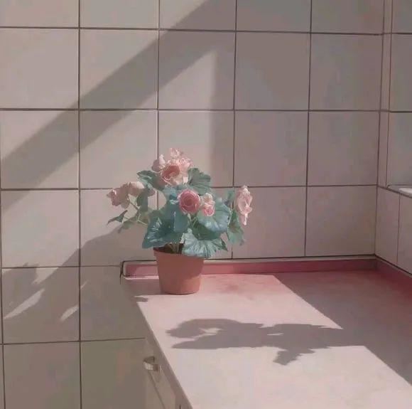 悄悄走进你内心的文案，你是不是找了很久，我帮你找了