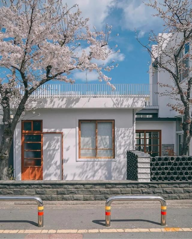 60句可爱的文案（儿童节、父亲节、端午节、高考、毕业季）