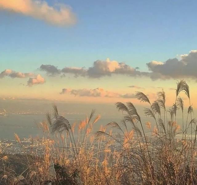 60句可爱的文案（儿童节、父亲节、端午节、高考、毕业季）