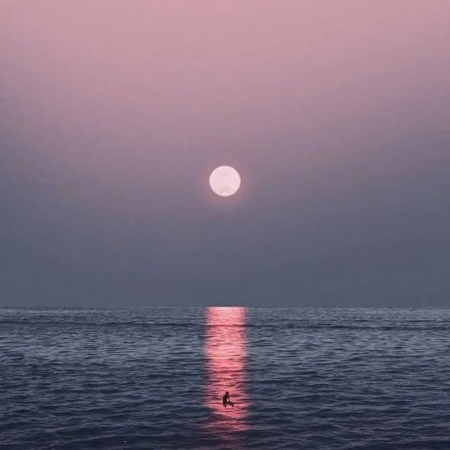 60句可爱的文案（儿童节、父亲节、端午节、高考、毕业季）