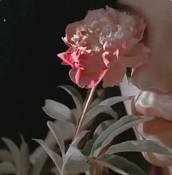 那些怎么看都不腻的文案！