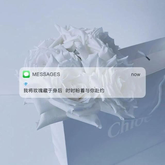 一组私藏了很久的朋友圈背景文案！