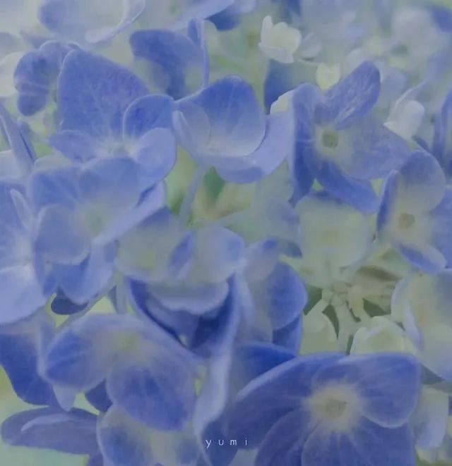 文案｜那些说进你心坎的深刻句子