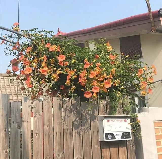 微信流行的一句话走心句子！