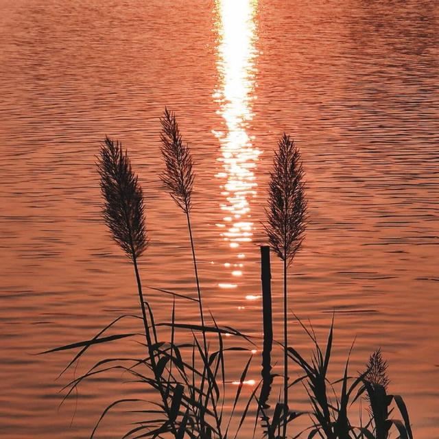 “哪些文案是让你喜欢了很久的”