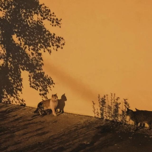 “哪些文案是让你喜欢了很久的”