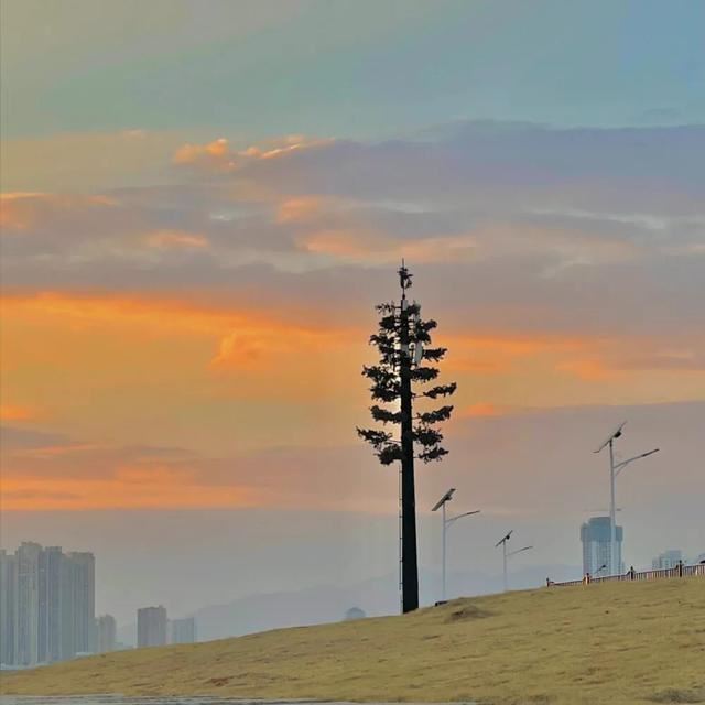 官方都喜欢的温柔文案～