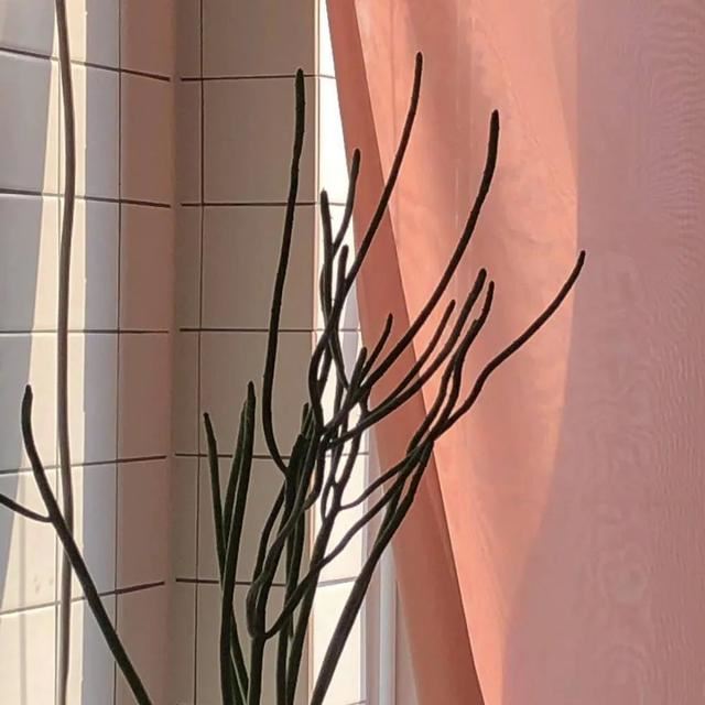 沙雕又搞笑的小句子~