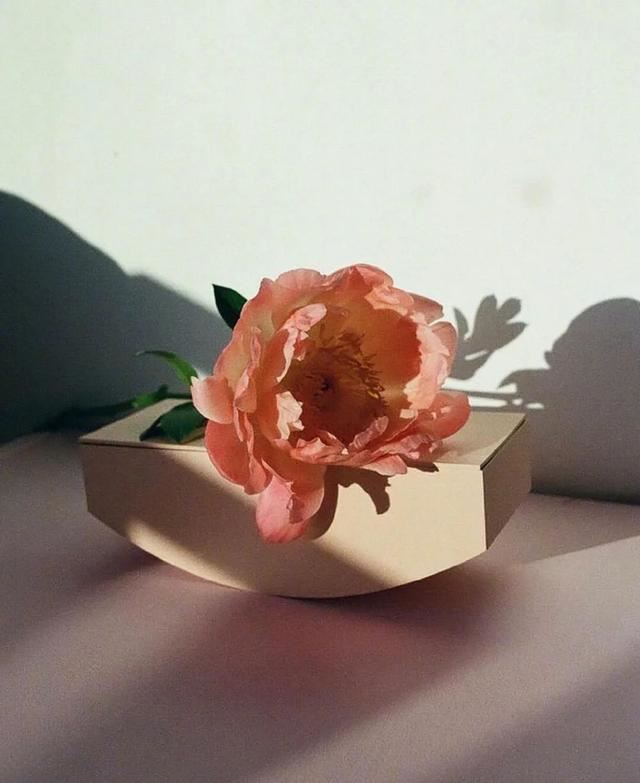 适合毕业季发的特殊文案