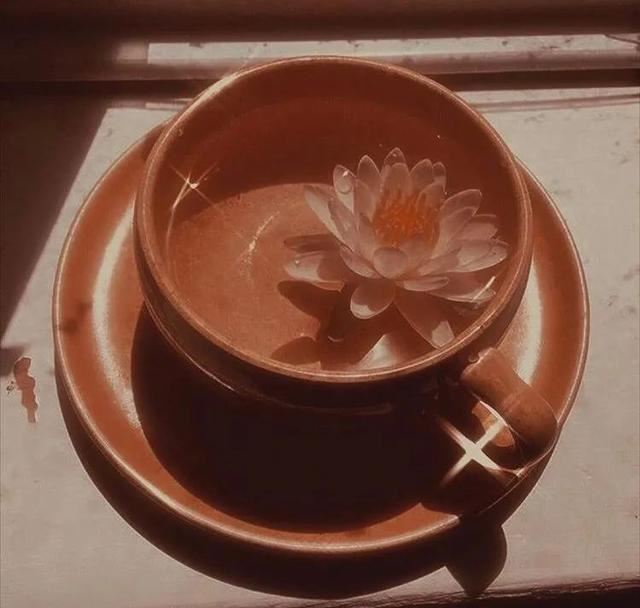 那些关关难过夜夜难过的情绪文案~