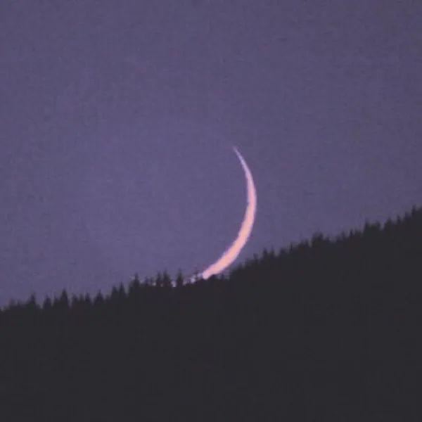 越读越舒服的治愈系文案！