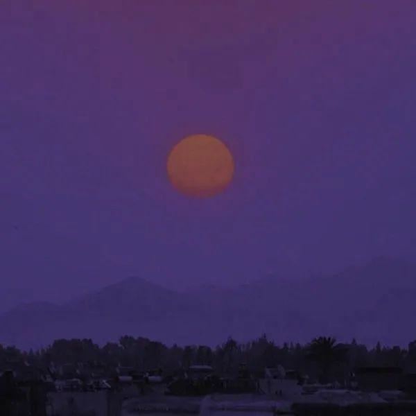 越读越舒服的治愈系文案！