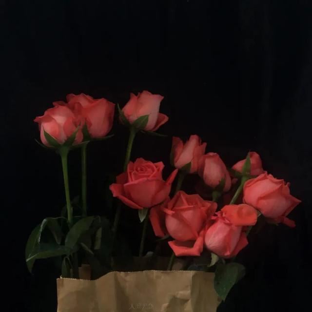 下一刻就收藏的文案句子！