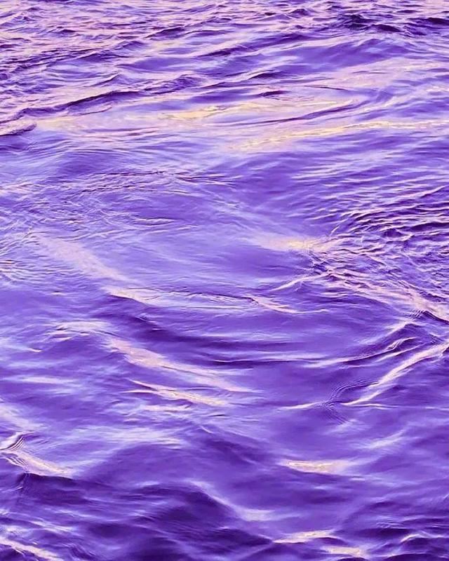 野性十足的文案，酷girl必备！