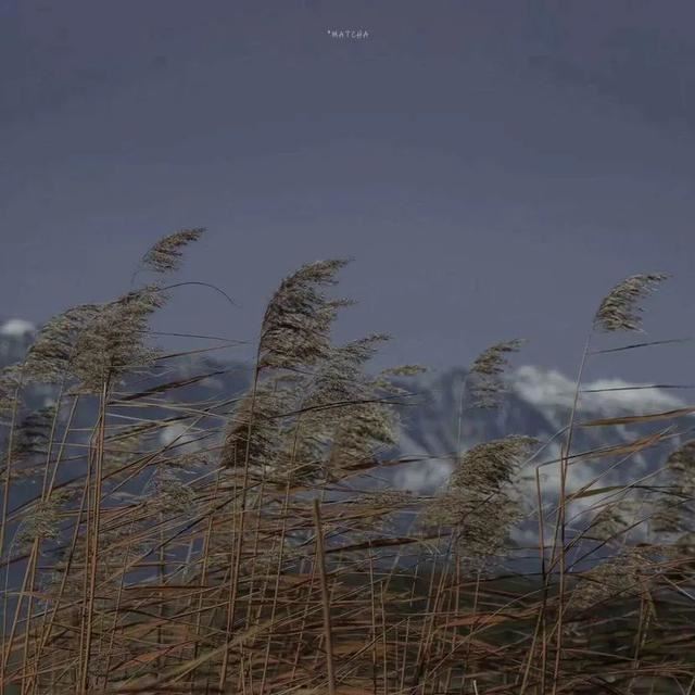 不好听但十分现实的文案！