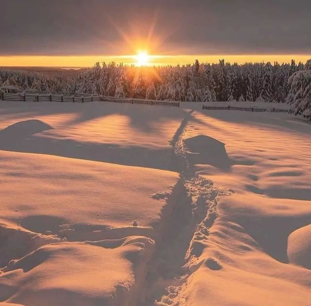 不好听但十分现实的文案！