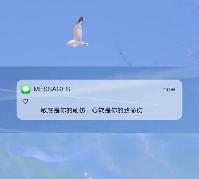 抖音热门文案句子摘录17句｜爱情