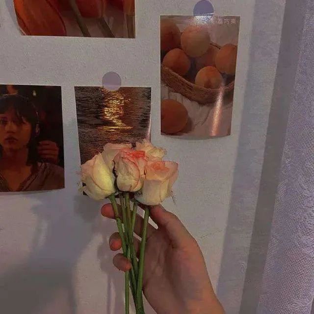 “收集可以做个签的心动文案”