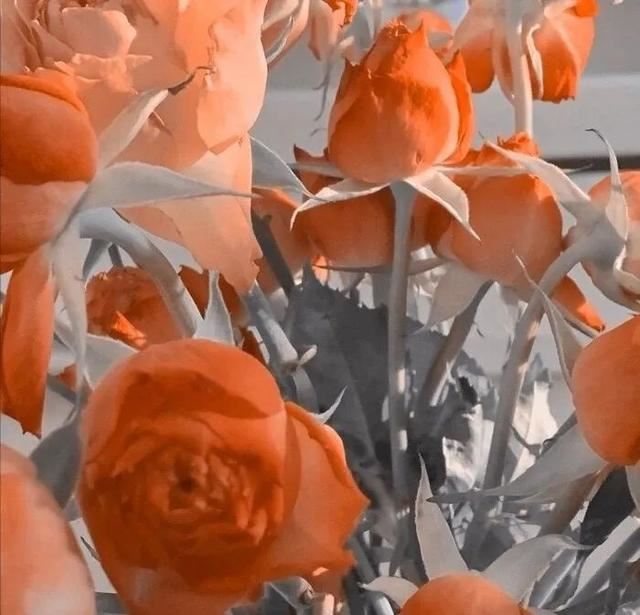 “收集可以做个签的心动文案”