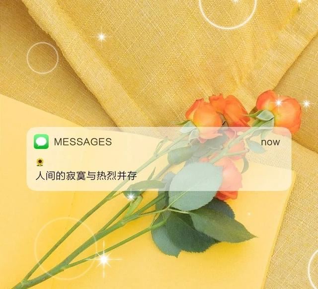 “借用你收藏已久的那些文案”