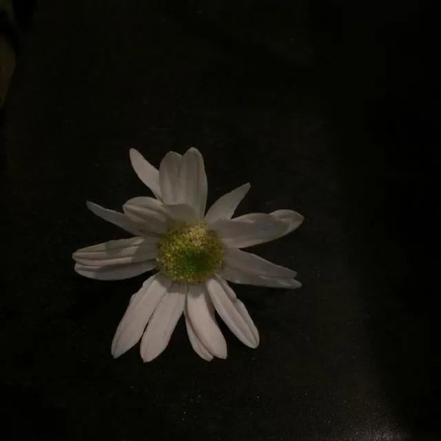 为你量身定制的文案短句！