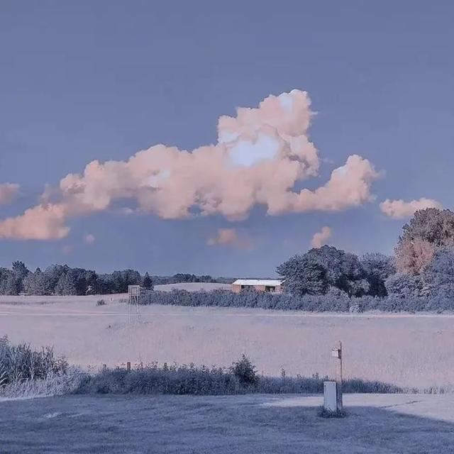 日常有感而发的心情签名句子！