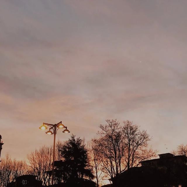 朋友圈4月20日谷雨文案这样发！