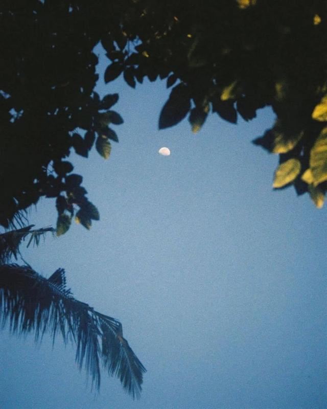 治愈自己的快乐文案，可可爱爱的憨憨文案~