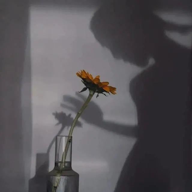 25句抖音上最火的签名句子