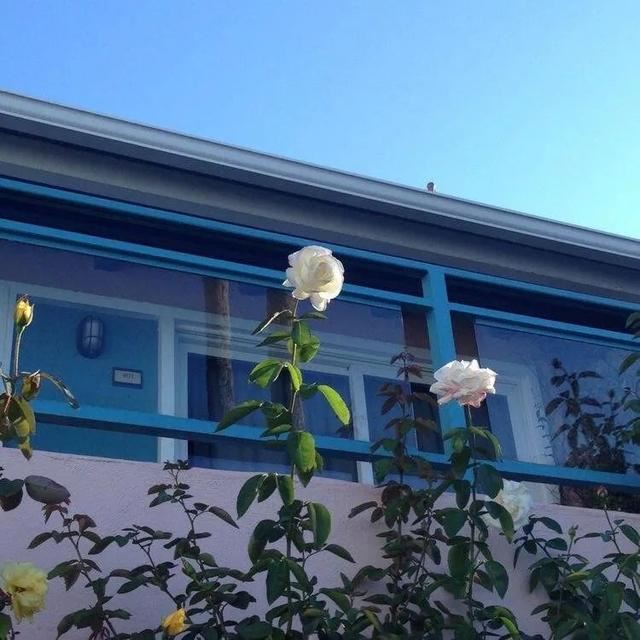 25句抖音上最火的签名句子