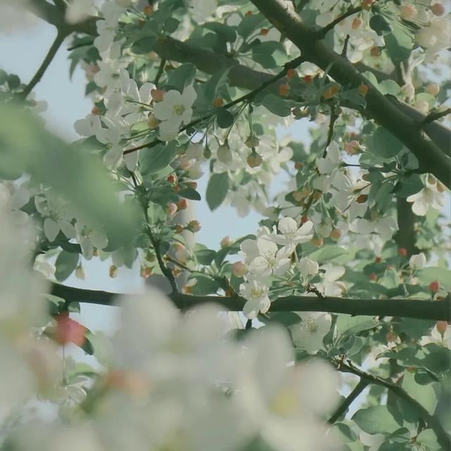 让你清醒的现实文案！