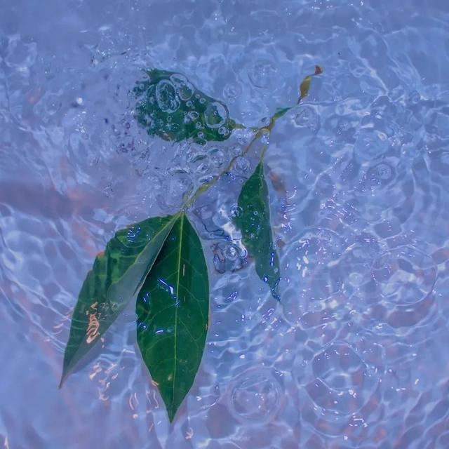 让你清醒的现实文案！