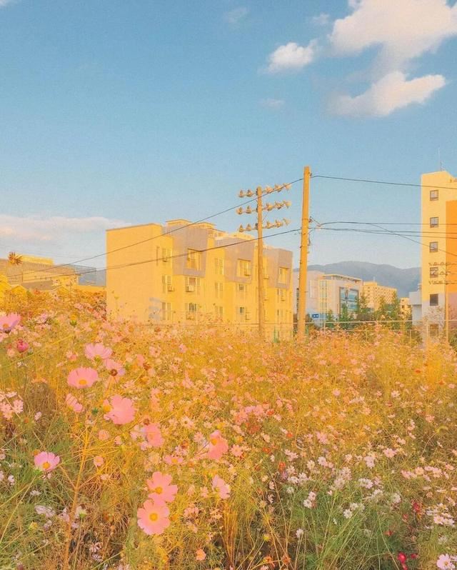 特别特别委屈的文案，让人情绪失控！