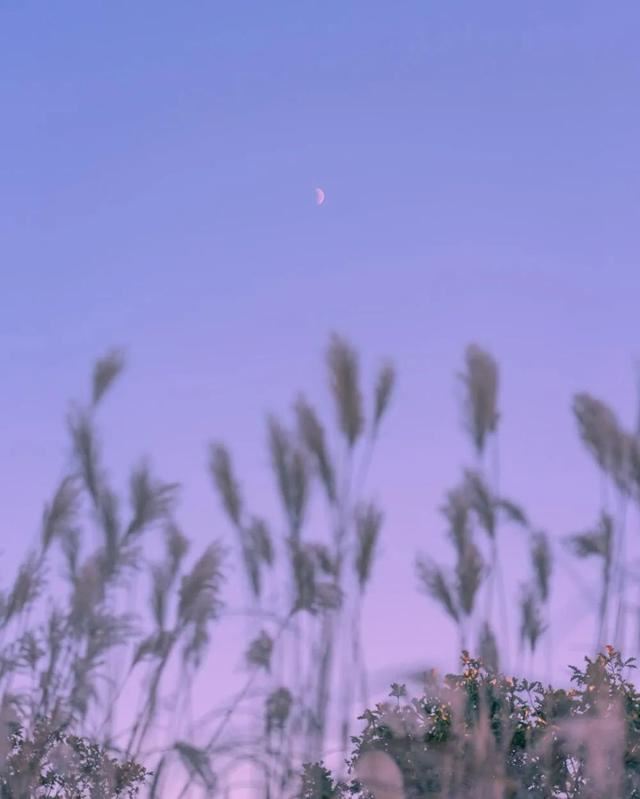 特别特别委屈的文案，让人情绪失控！