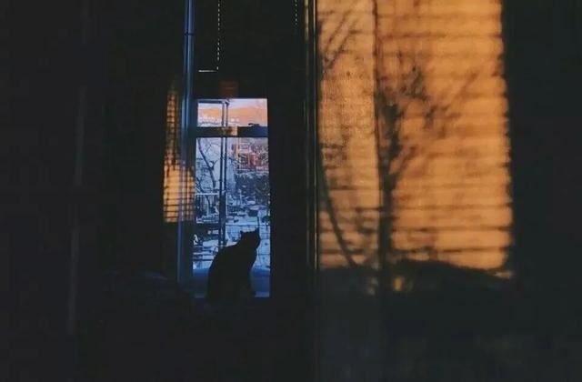 被惊艳到的冷门文案！