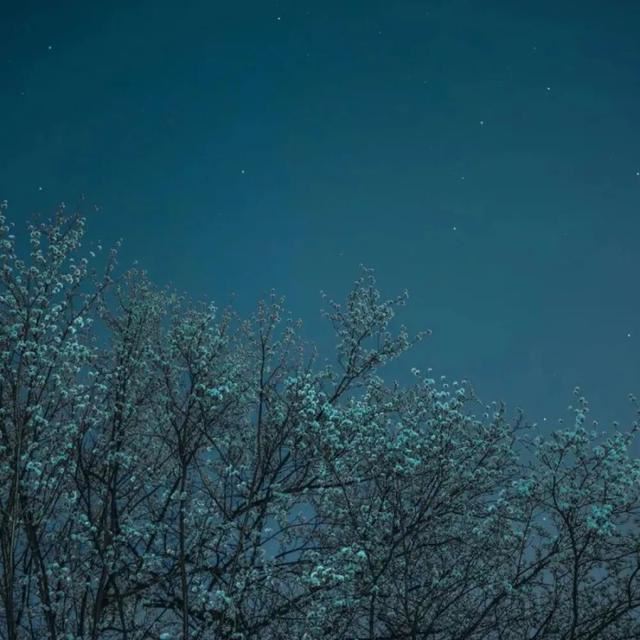 晒日常碎片plog朋友圈文案~