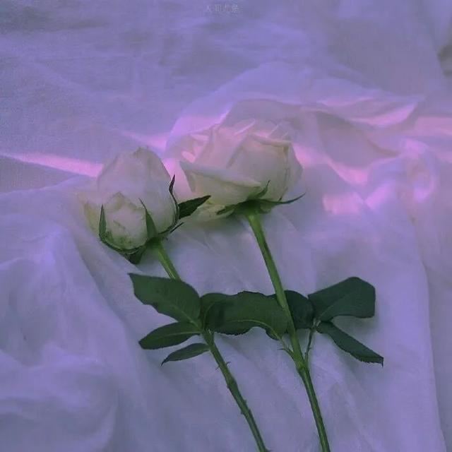 抖音非常火的心情文案23句！