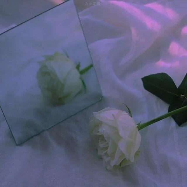 抖音非常火的心情文案23句！