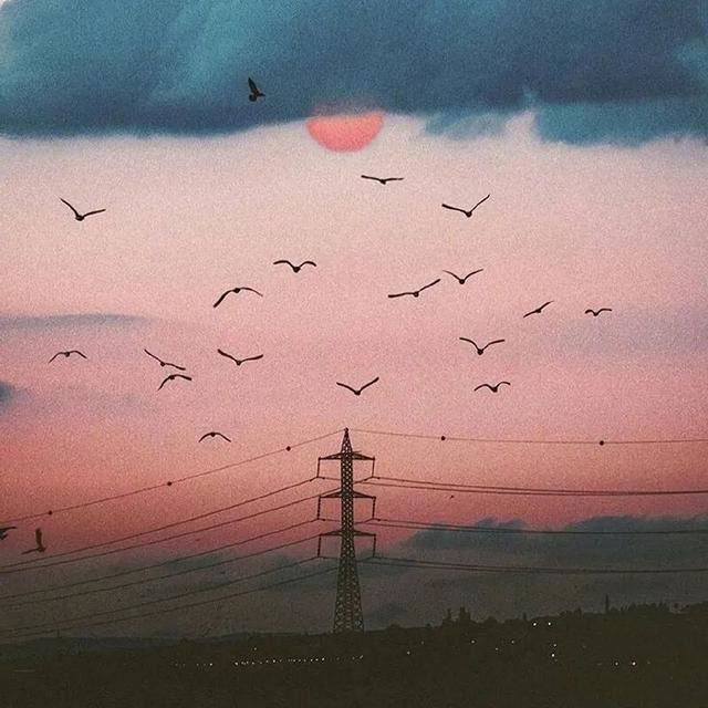 深夜丧到虐心的句子！