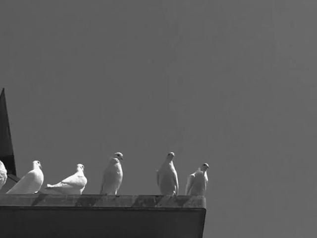 “有没有一条文案让你情绪失控”