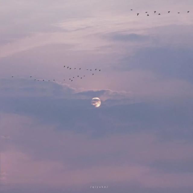 适合发说说的优质文案！