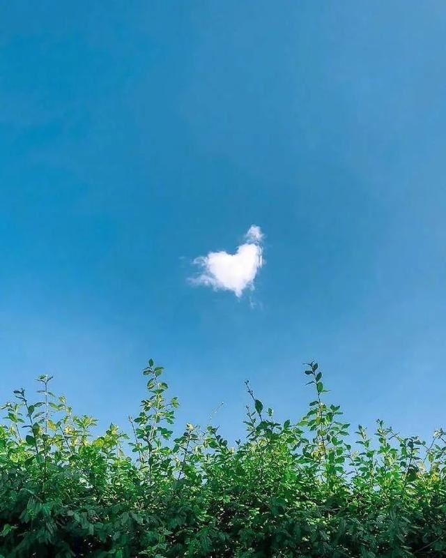 适合发说说的优质文案！