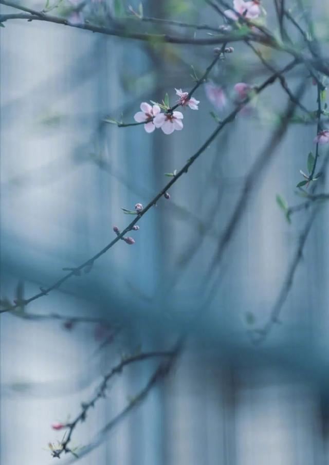 一些让人意难平的文案！