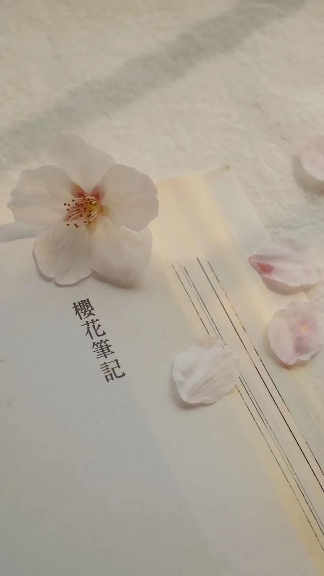 最全最火朋友圈文案！