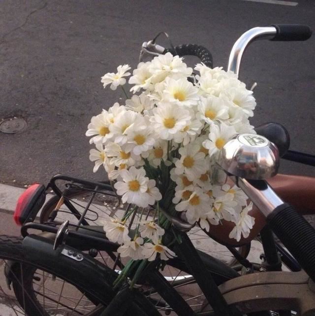 2021最搞笑的一句话，可以发动态的沙雕文案！