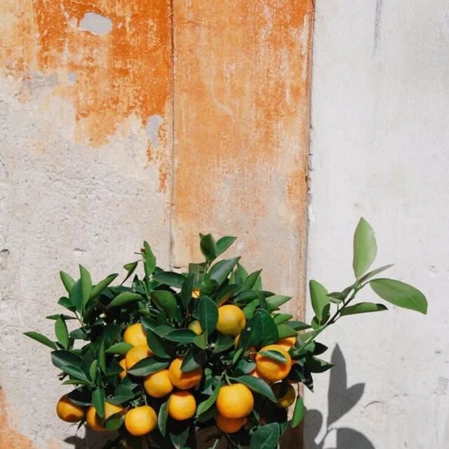 3月8日女神节最火爆的文案！