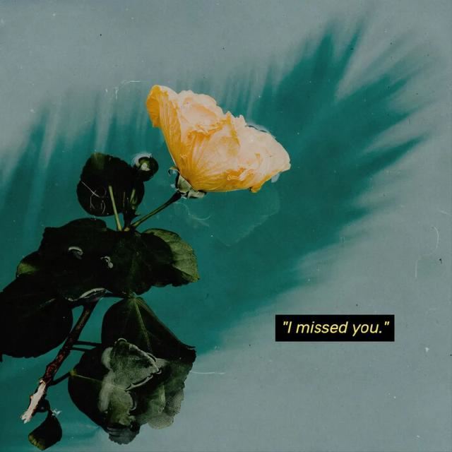 3月8日女神节最火爆的文案！