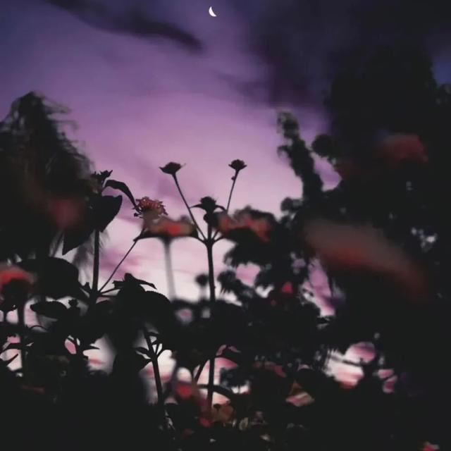 28个治愈系句子，温暖励志，愿你备受鼓舞！