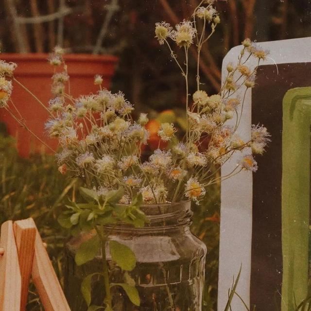 28个治愈系句子，温暖励志，愿你备受鼓舞！